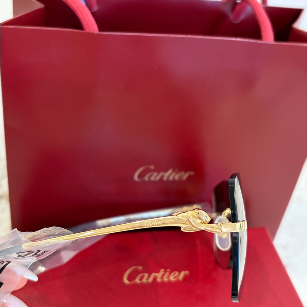 Cartier
Panthère Classic 24-Carat Gold 60MM
Square Sunglasses - Picture 9 of 16